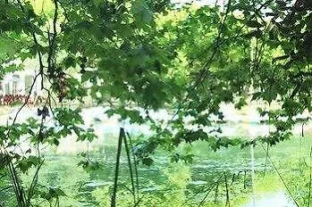ホテル Termas Da 3*