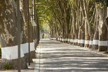 Termas Da クリア